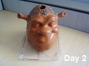 shrek chia-pet